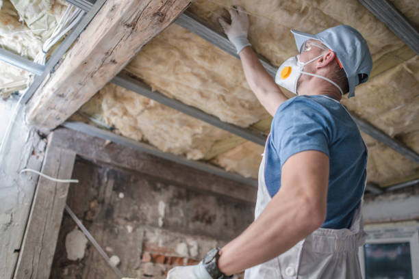 Best Insulation Maintenance and Repair in Taylors, SC