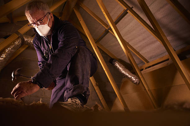Best Insulation for Specific Applications in Taylors, SC